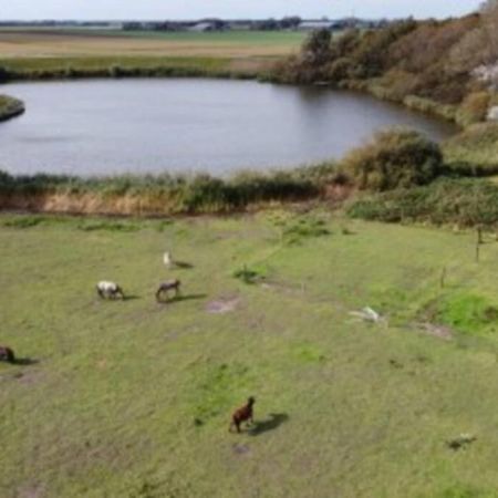 B&B Hoeve Dijkstal Logeren Op De Boerderij Sint Maarten Zewnętrze zdjęcie