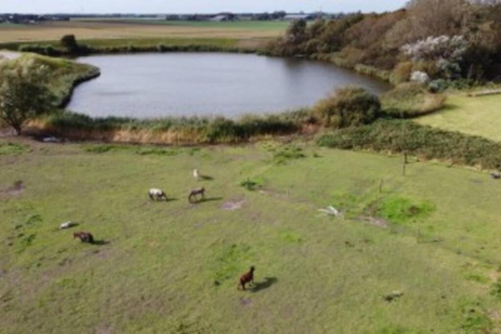 B&B Hoeve Dijkstal Logeren Op De Boerderij Sint Maarten Zewnętrze zdjęcie
